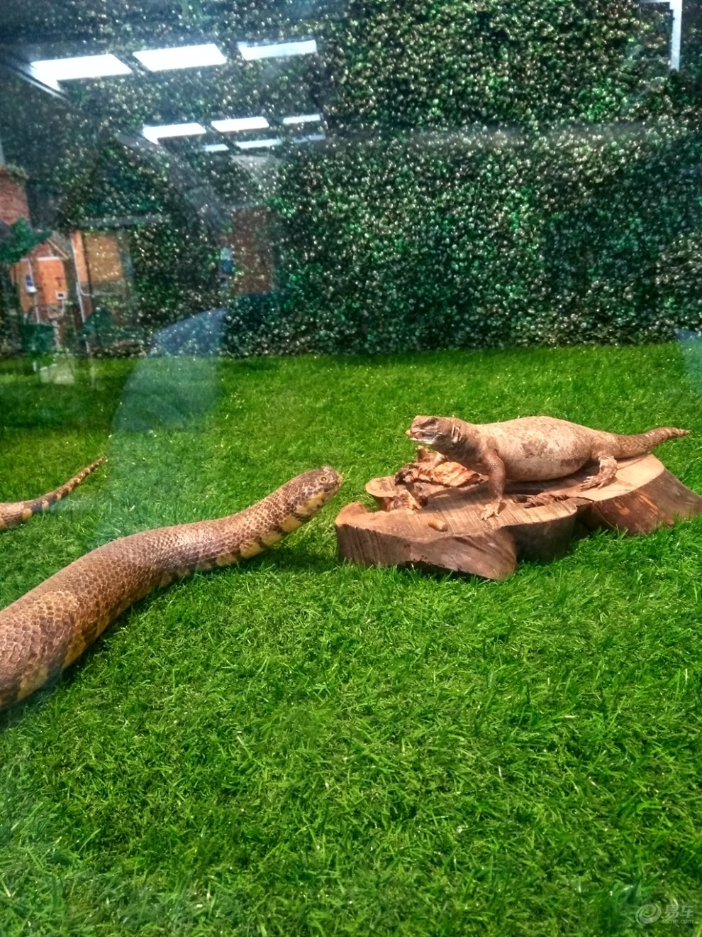 【石家庄cs35车友会】游玩笔架山爬行馆