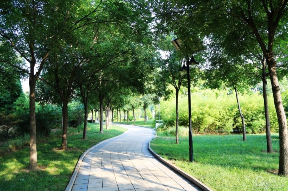 侯马市市民公园随拍