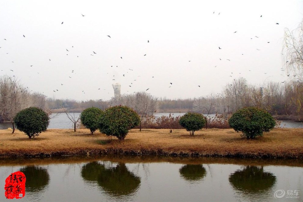 【冬日美景】寂寞的浐河湿地公园