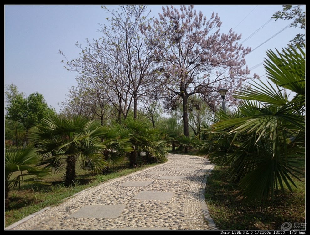 【武的足跡】滎陽植物園