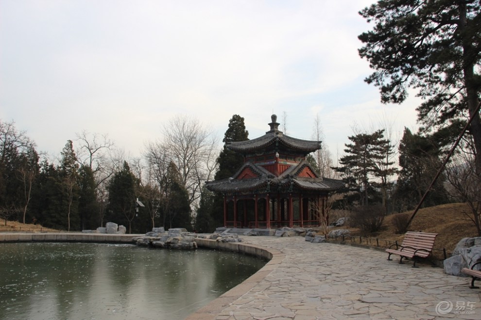 【原创首发】知松园赏松