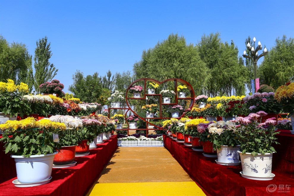 中国宁夏银川花卉博览会