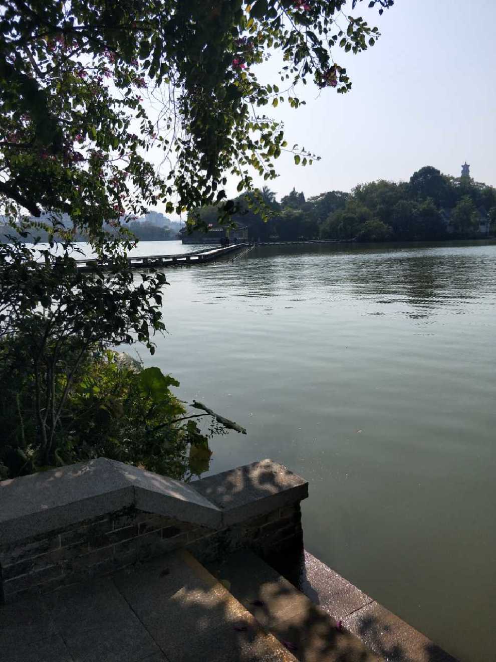 【深圳cs75车友会】480小伍青春洋溢的小7伴我游西湖