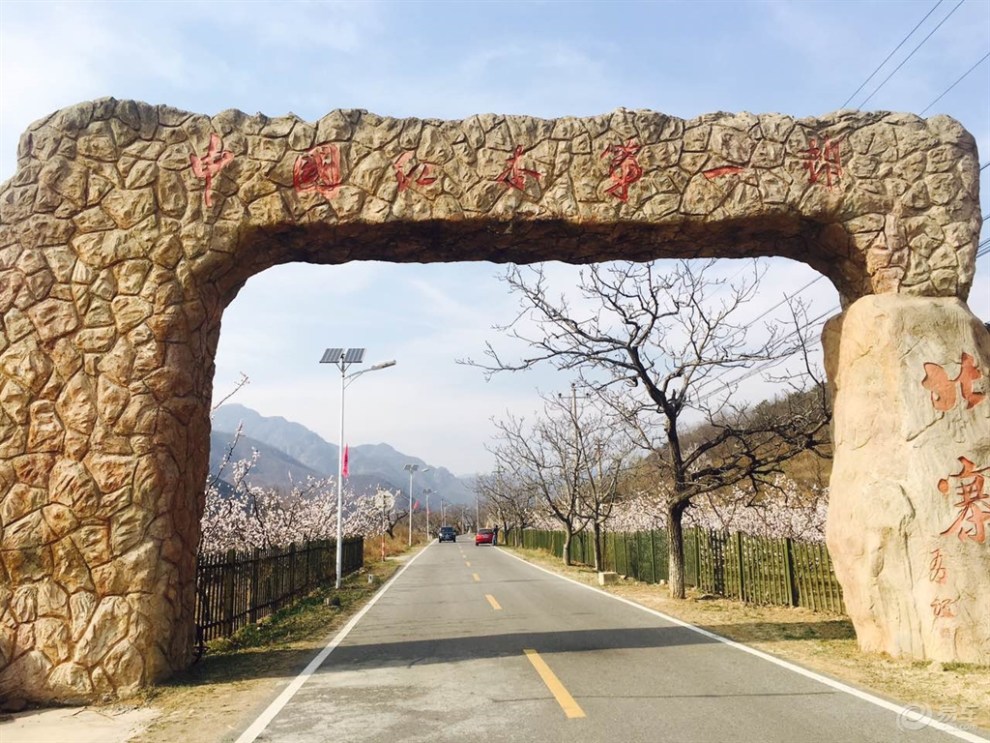 《北京劲悦团车友会》---平谷北寨万亩杏花怒放迎春
