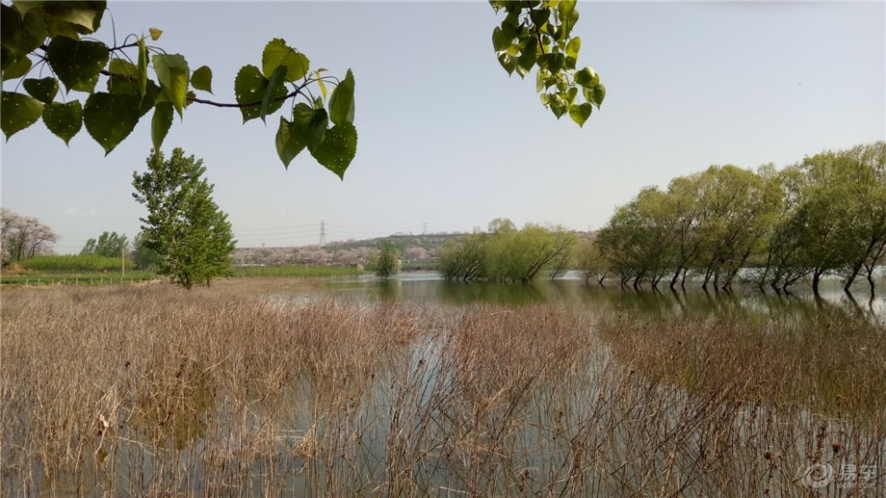 【精华帖争霸赛】九泉水库,清凉惬意.