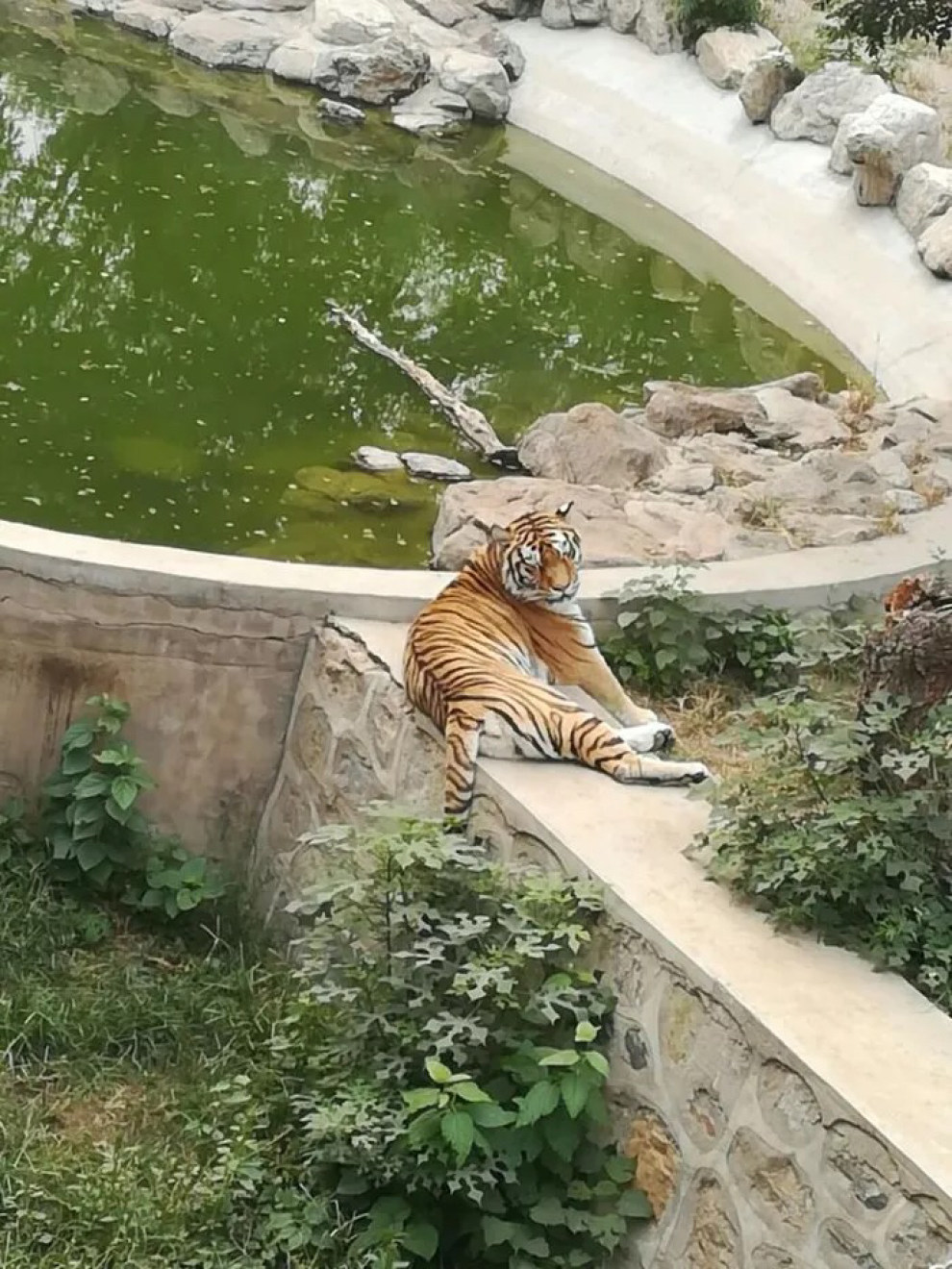 帶你看中國——石家莊動物園