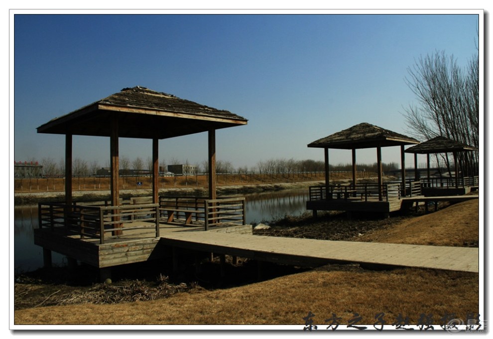 2018-3-16《早春-天津市武清区北运河休闲驿站》