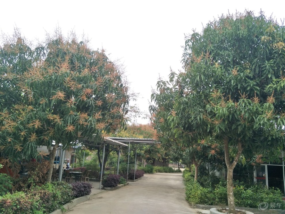 阳春隆海山庄