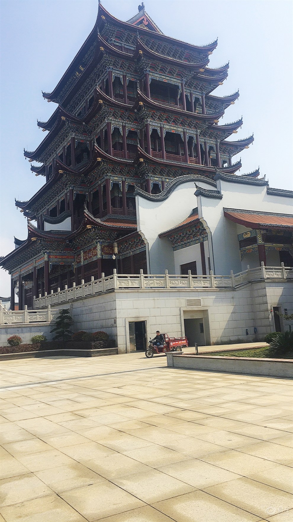 春意盎然 岂能辜负—带着我家小凌渡畅游沿江风光带(万楼)