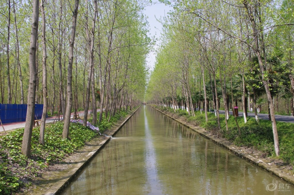 【盛世長安車友會】651小七帶我遊之十七合肥濱湖溼地公園