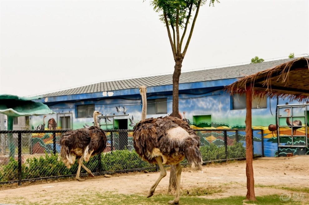 週末親子游——走進唐山動物園,走近動物的內心世界