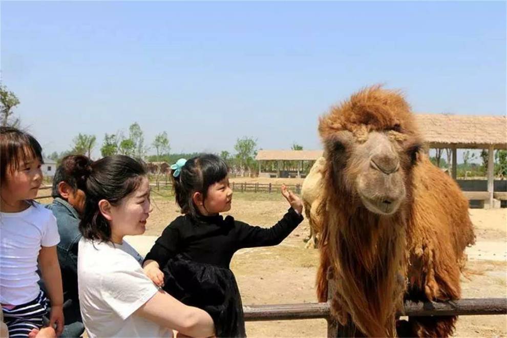 【【遊記】宿州野生動物園】_賽歐社區圖片集錦_汽車論壇-易車網