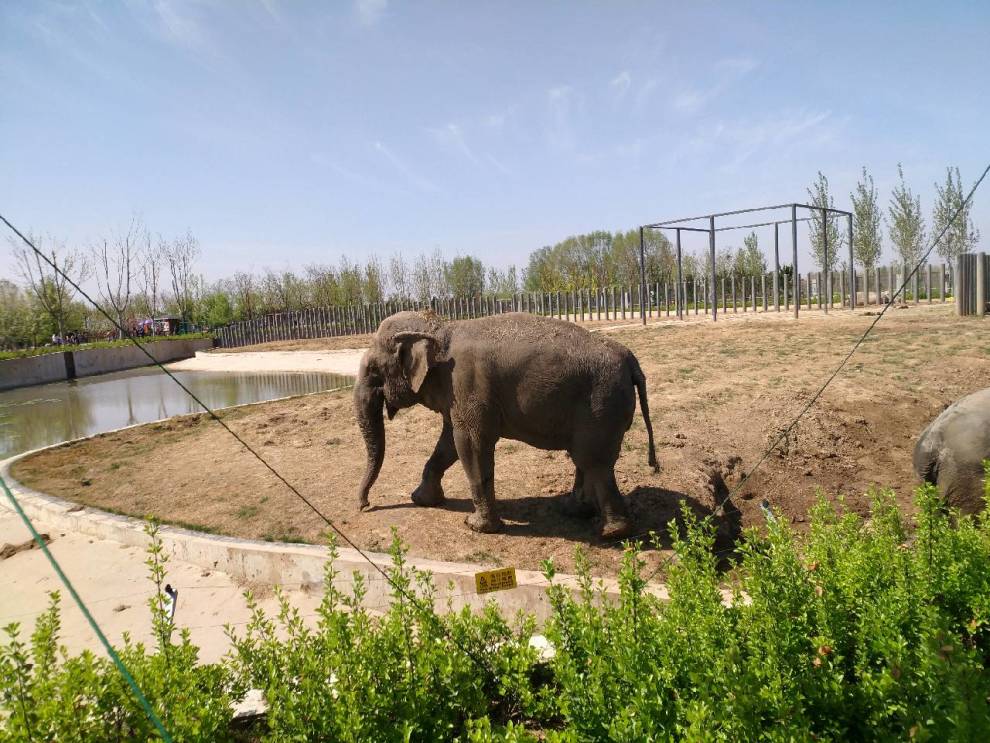 遊滄州動物園