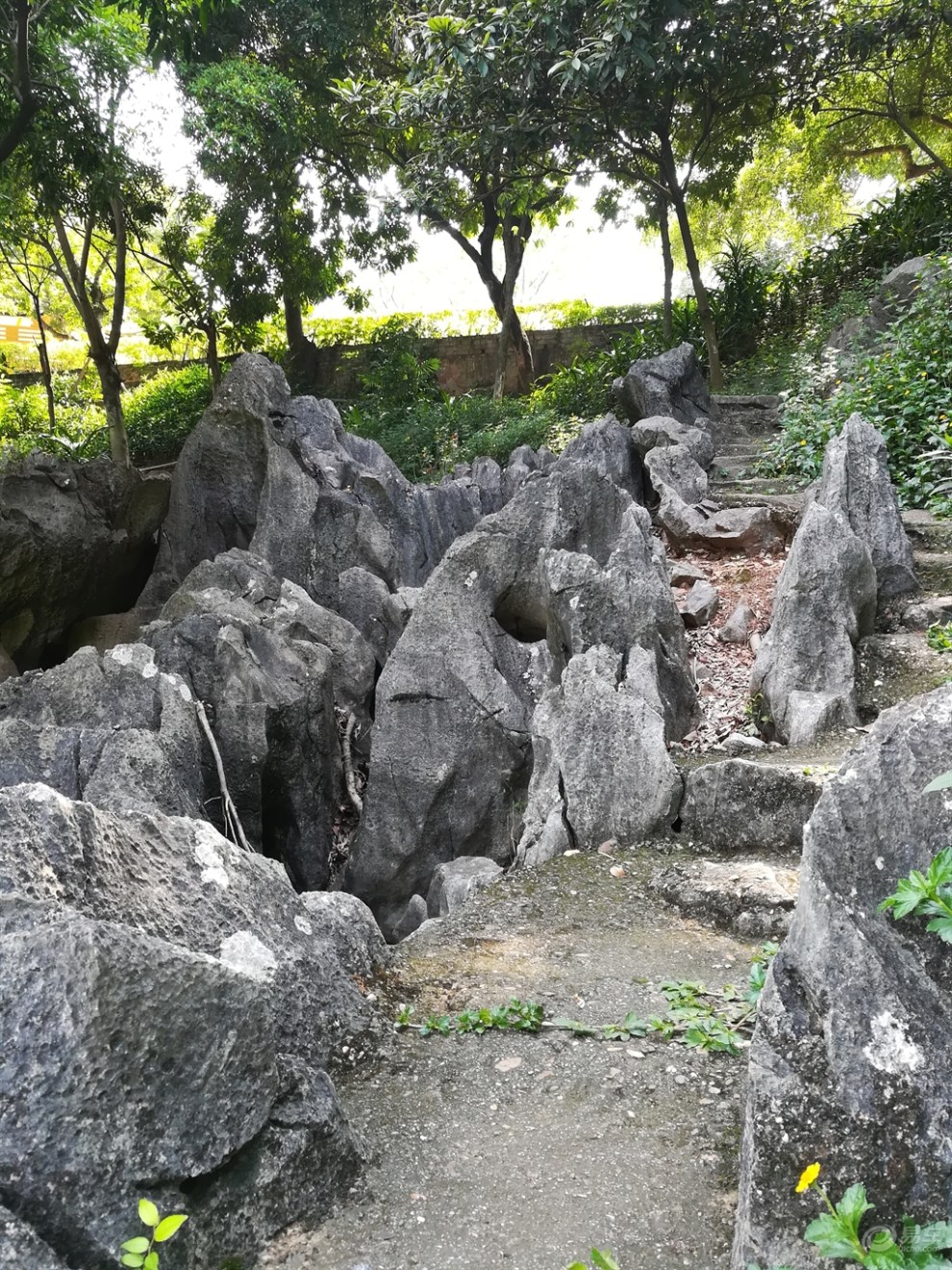 【廣西壹家人車友會 】鬱鬱蔥蔥——自駕蒲津公園