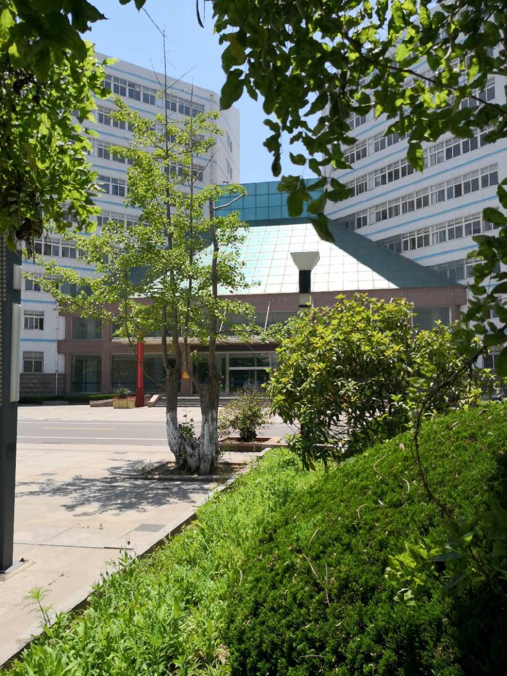 日照一中校园集锦(1)