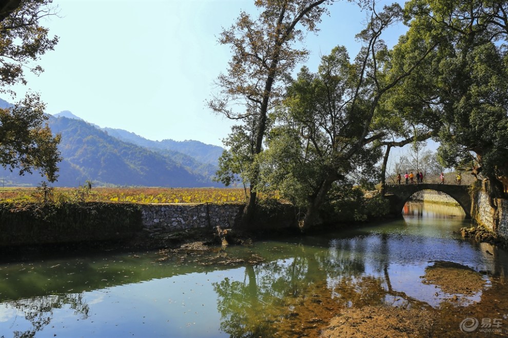 嚴田古樟風景區(三)