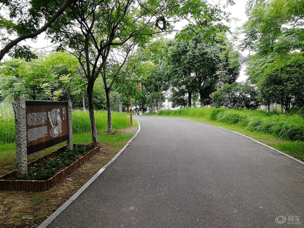 【無錫長安車友會】逸起來運動,溼地公園晨跑記