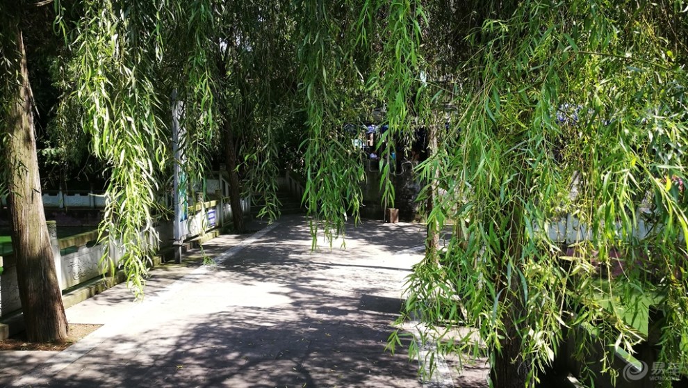 【四川长安suv联盟】城市深处的绿色——瓮亭公园
