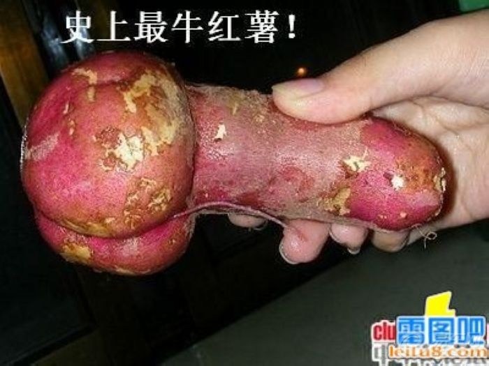 牛人牛图第三季